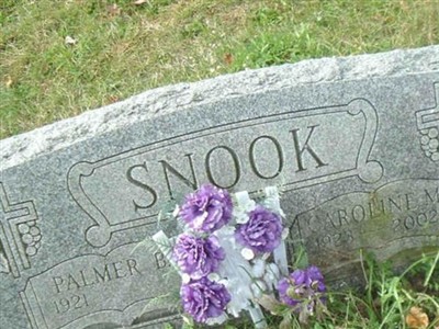 Palmer B Snook on Sysoon