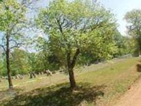 Palmer Cemetery on Sysoon