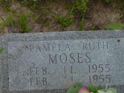 Pamela Ruth Moses on Sysoon