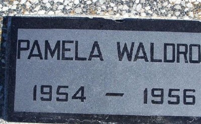 Pamela Waldron on Sysoon
