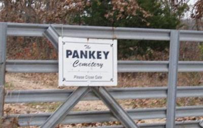 Pankey Cemetery (Richwoods TWP) on Sysoon