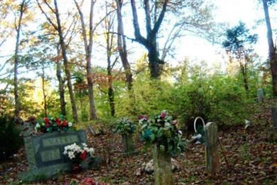 Parsonage Cemetery on Sysoon