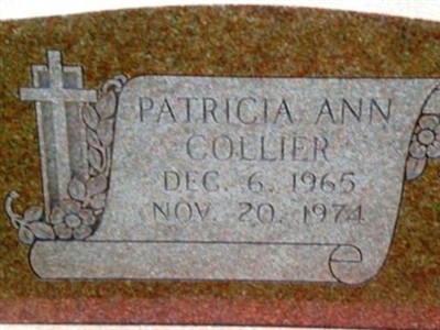Patricia Ann Collier on Sysoon