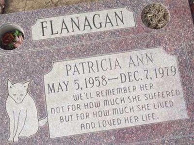 Patricia Ann Flanagan on Sysoon