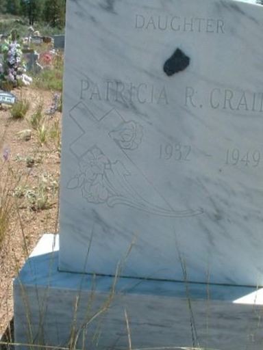 Patricia R. Crain on Sysoon
