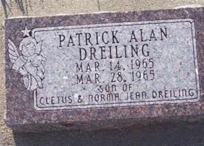 Patrick Alan Dreiling on Sysoon