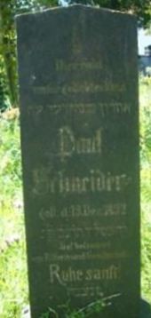 Paul Infant Schneider on Sysoon