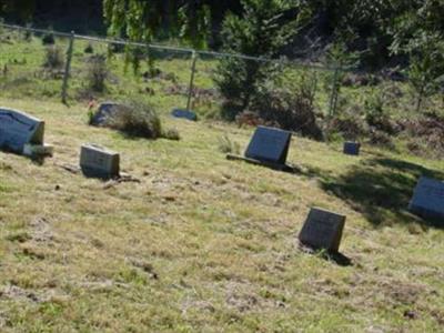 Payne Family Cemetery on Sysoon