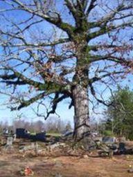 Pea Ridge Cemetery on Sysoon