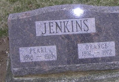 Pearl Christine Hone Jenkins on Sysoon