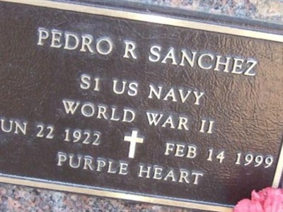 Pedro R Sanchez on Sysoon