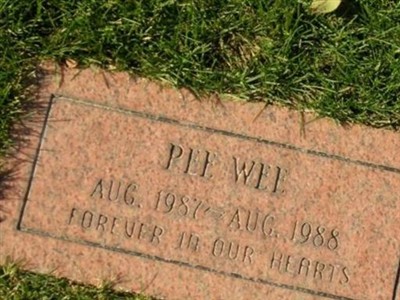 Pee Wee on Sysoon