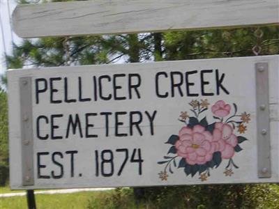 Pellicer Creek Cemetery on Sysoon