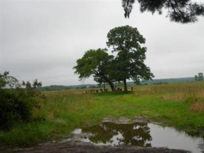 Perkins Family Cemetery on Sysoon