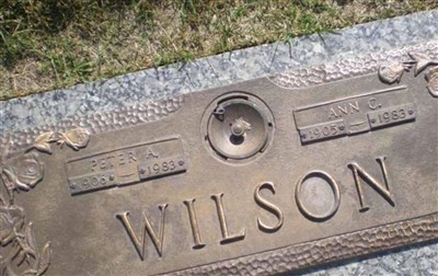 Peter A Wilson on Sysoon