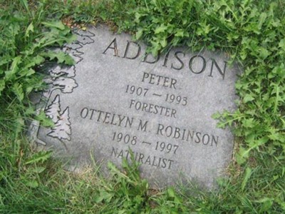 Peter Addison on Sysoon