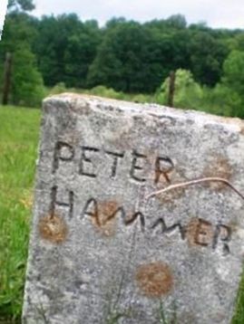 Peter Hammer on Sysoon