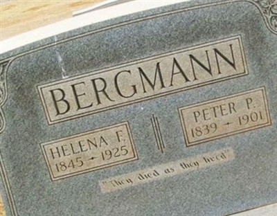 Peter P. Bergmann on Sysoon