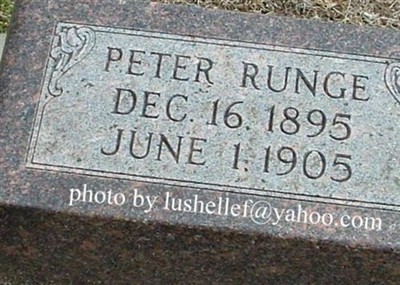 Peter Runge on Sysoon