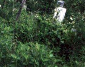 Peterman Bend Cemetery on Sysoon