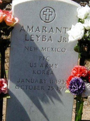 PFC Amarante Leyba, Jr on Sysoon