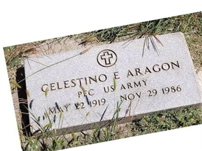 PFC Celestino E. Aragon on Sysoon