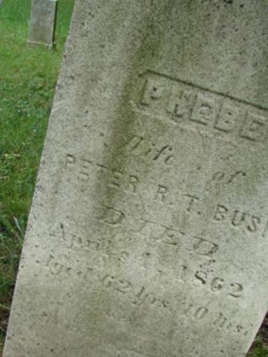 Phebe Bush on Sysoon