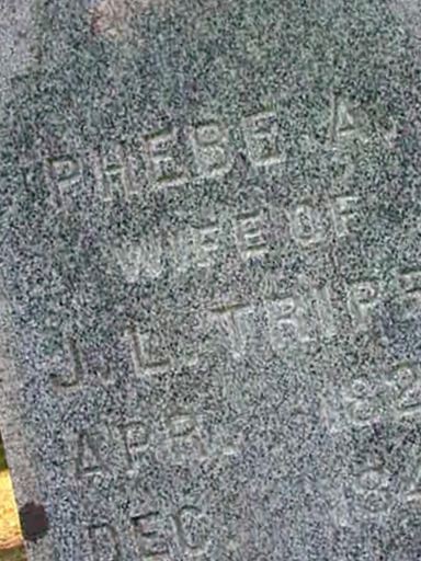 Phebe Tripp on Sysoon