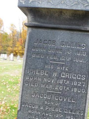 Phebe W Griggs Gillies on Sysoon