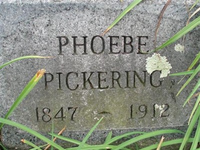 Phoebe Ann Chamberlain Pickering on Sysoon