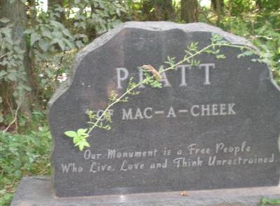 Piatt Cemetery on Sysoon