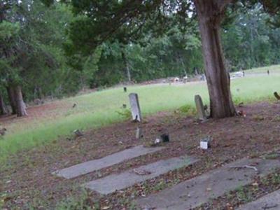 Piedmont Cemetery on Sysoon