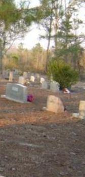 Pilgrim Cemetery on Sysoon