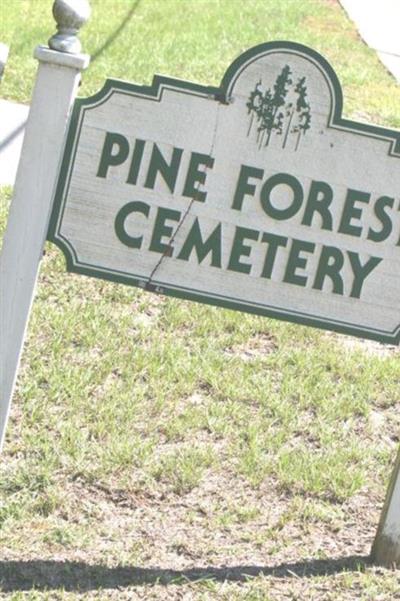 Pine Forest Cemetery on Sysoon