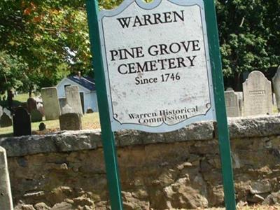 Pine Grove Cemetery on Sysoon