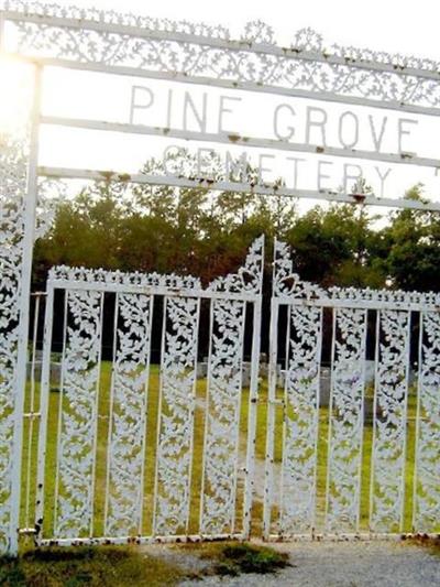 Pine Grove Cemetery on Sysoon