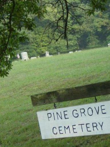 Pine Grove Cemetery on Sysoon