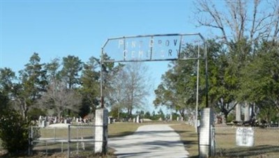 Pine Grove Cemetery on Sysoon