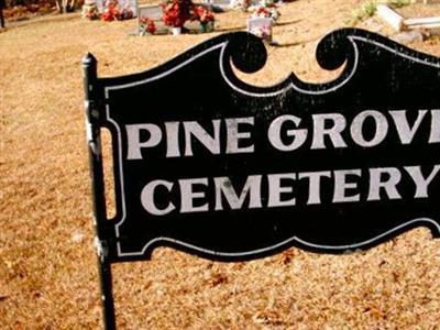 Pine Grove Cemetery on Sysoon