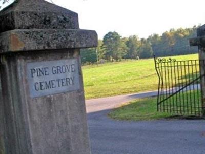 Pine Grove Cemetery on Sysoon