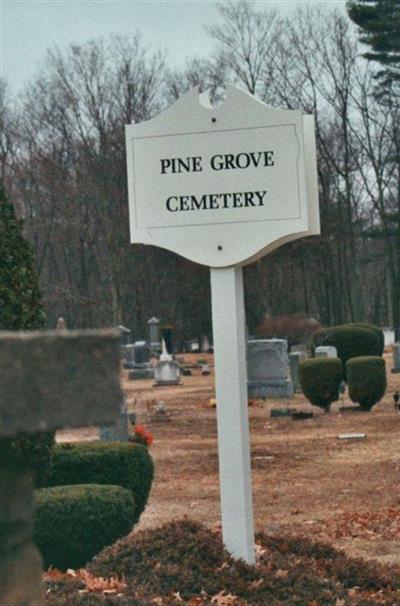 Pine Grove Cemetery on Sysoon