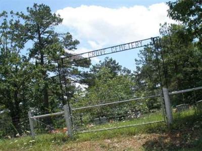 Pine Grove Cemetery on Sysoon