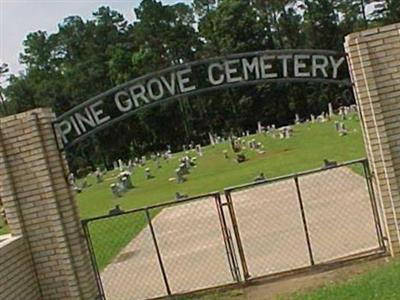 Pine Grove Cemetery on Sysoon