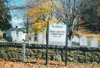 Pine Grove Cemetery on Sysoon