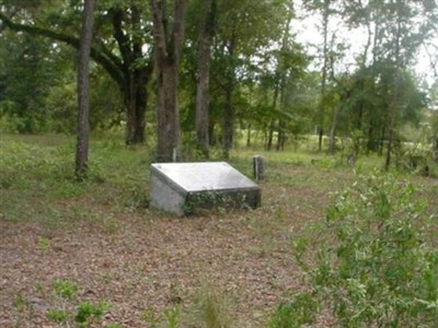 Pine Grove Methodist Cemetery on Sysoon