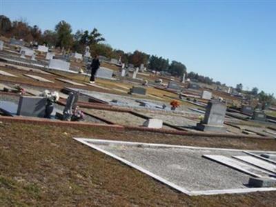 Pine Level Cemetery on Sysoon