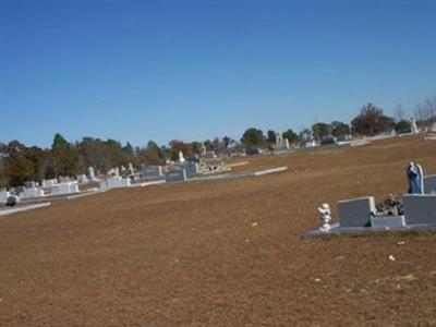 Pine Level Cemetery on Sysoon