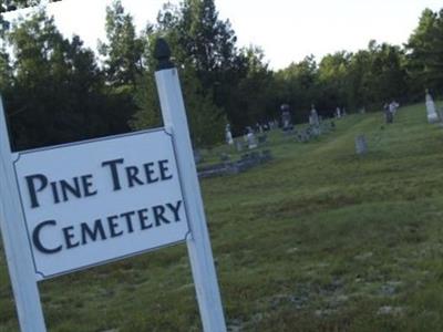 Pine Tree Cemetery on Sysoon