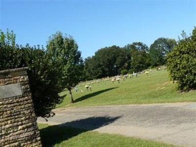 Pine View Cemetery on Sysoon