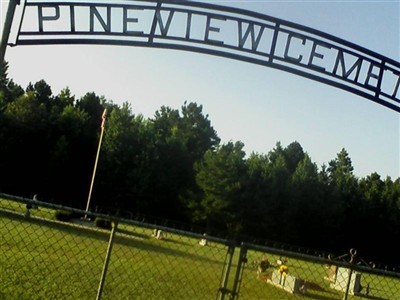 Pineview Cemetery on Sysoon